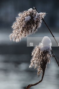 信用卡逾期70天还没有在用吗 信用卡逾期70天还没有在用吗