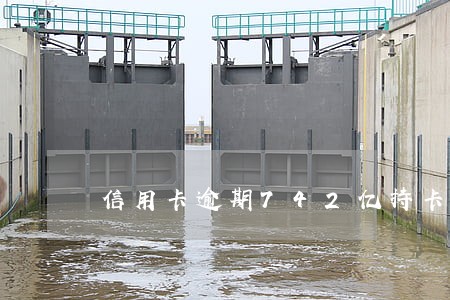 信用卡逾期742亿持卡人的无助 信用卡逾期742亿持卡人的无助
