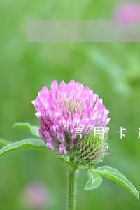 信用卡逾期759亿 信用卡逾期759亿