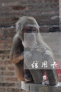 信用卡逾期788亿 信用卡逾期788亿