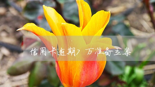 信用卡逾期7万准备立案