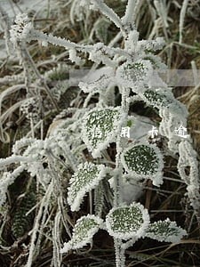 信用卡逾期7万分期24期 信用卡逾期7万分期24期