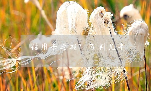 信用卡逾期7万判几年 信用卡逾期7万判几年