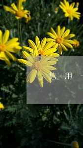 信用卡逾期7万实在没钱还怎么解决 信用卡逾期7万实在没钱还怎么解决