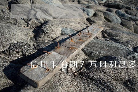 信用卡逾期7万月利息多少