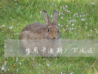 信用卡逾期7万没还 信用卡逾期7万没还