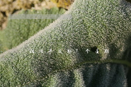 信用卡逾期7个星期 信用卡逾期7个星期