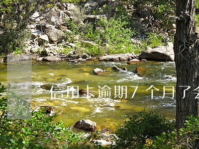 信用卡逾期7个月了会怎么样 信用卡逾期7个月了会怎么样