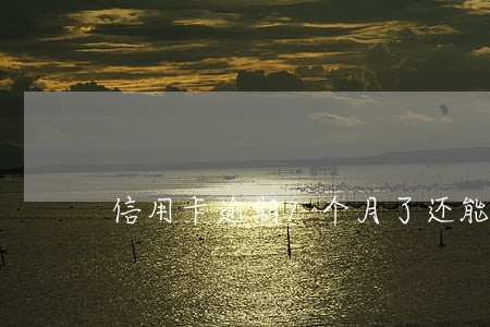 信用卡逾期7个月了还能贷多久