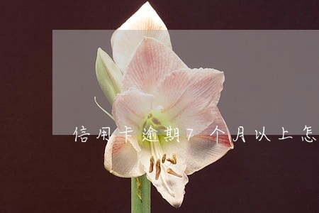 信用卡逾期7个月以上怎么催收