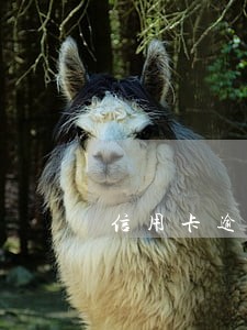 信用卡逾期7个月会立案吗