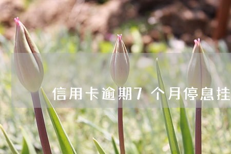信用卡逾期7个月停息挂账 信用卡逾期7个月停息挂账