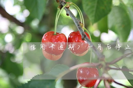 信用卡逾期7个月后停止利息 信用卡逾期7个月后停止利息