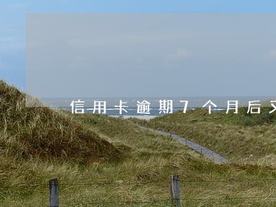 信用卡逾期7个月后又还钱了 信用卡逾期7个月后又还钱了