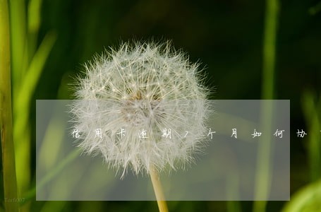 信用卡逾期7个月如何协商 信用卡逾期7个月如何协商