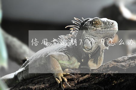 信用卡逾期7个月怎么办 信用卡逾期7个月怎么办