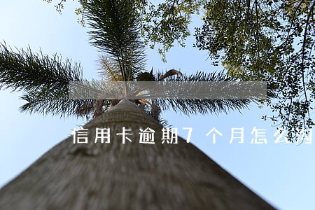 信用卡逾期7个月怎么沟通 信用卡逾期7个月怎么沟通