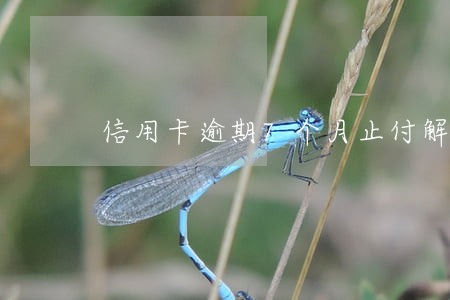 信用卡逾期7个月止付解除 信用卡逾期7个月止付解除