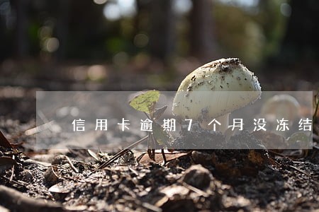 信用卡逾期7个月没冻结 信用卡逾期7个月没冻结