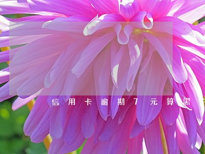 信用卡逾期7元算黑户吗