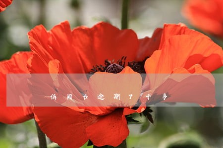 信用卡逾期7千多