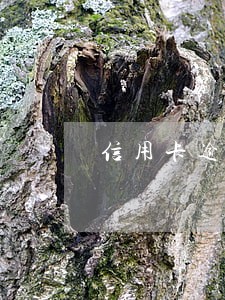 信用卡逾期7周 信用卡逾期7周