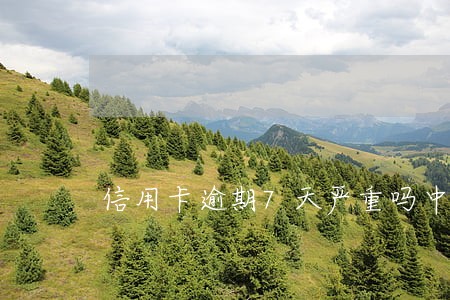 信用卡逾期7天严重吗中国