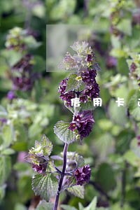信用卡逾期7天会影响信用 信用卡逾期7天会影响信用