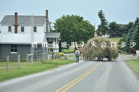 信用卡逾期7天会罚多少 信用卡逾期7天会罚多少