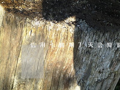 信用卡逾期7天会降额度吗