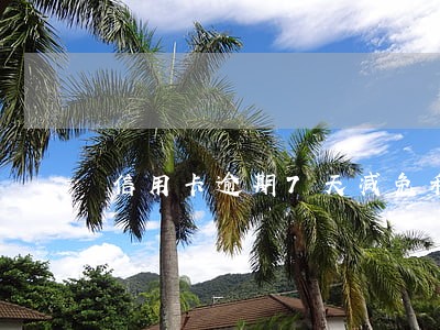 信用卡逾期7天减免利息 信用卡逾期7天减免利息