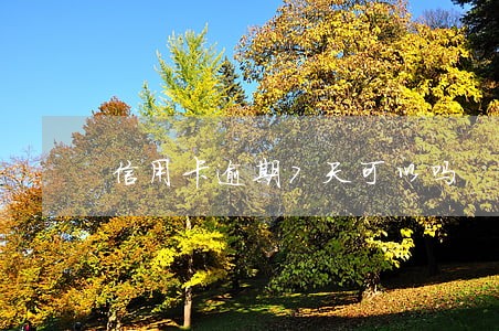 信用卡逾期7天可以吗 信用卡逾期7天可以吗