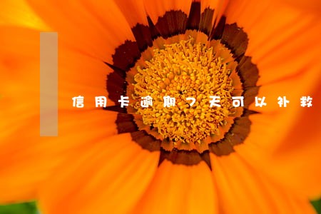 信用卡逾期7天可以补救 信用卡逾期7天可以补救