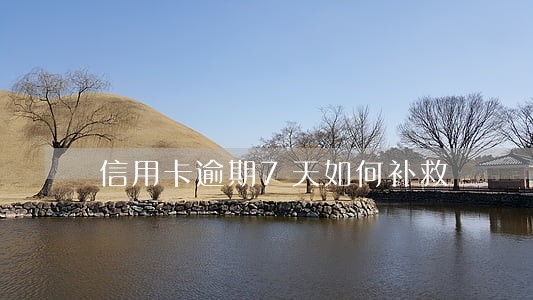 信用卡逾期7天如何补救 信用卡逾期7天如何补救