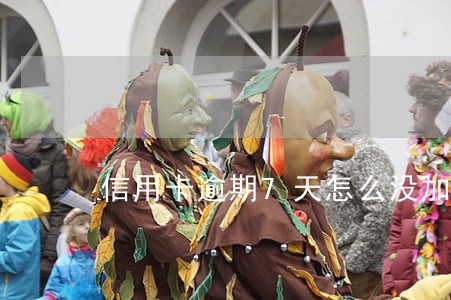 信用卡逾期7天怎么没加利息 信用卡逾期7天怎么没加利息