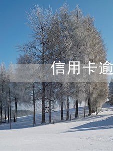 信用卡逾期7天打电话吗 信用卡逾期7天打电话吗