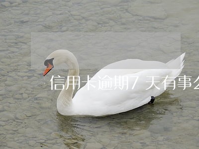 信用卡逾期7天有事么 信用卡逾期7天有事么
