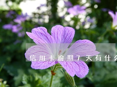 信用卡逾期7天有什么影响吗