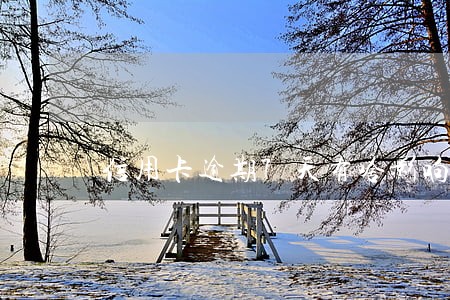 信用卡逾期7天有啥影响 信用卡逾期7天有啥影响