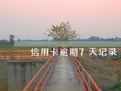 信用卡逾期7天记录