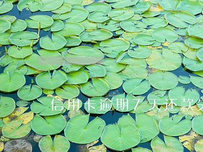 信用卡逾期7天还款失败 信用卡逾期7天还款失败
