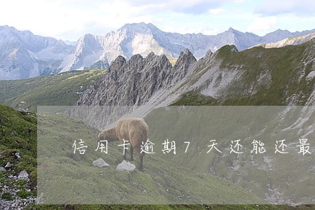 信用卡逾期7天还能还最低吗 信用卡逾期7天还能还最低吗