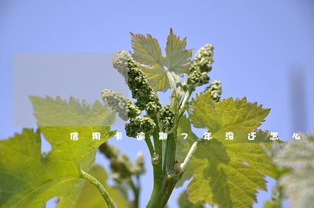 信用卡逾期7年没还怎么办 信用卡逾期7年没还怎么办