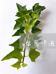 信用卡逾期7年的后果