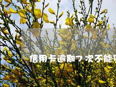 信用卡逾期7次不能贷公积金 信用卡逾期7次不能贷公积金