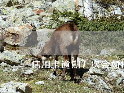 信用卡逾期7次会如何处理 信用卡逾期7次会如何处理