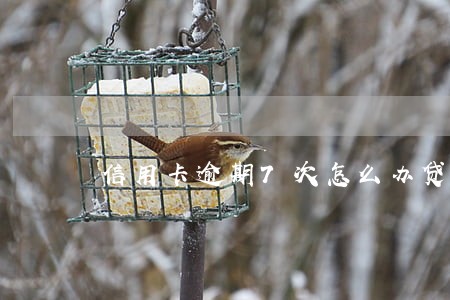 信用卡逾期7次怎么办贷款