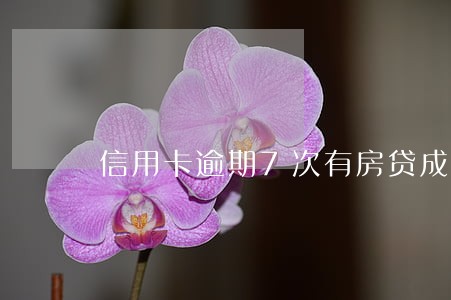 信用卡逾期7次有房贷成功的吗 信用卡逾期7次有房贷成功的吗