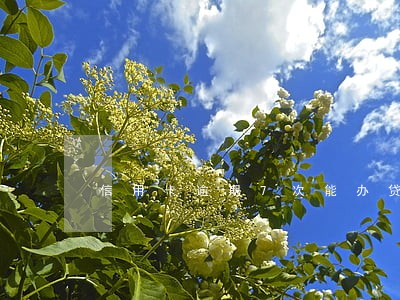 信用卡逾期7次能办贷款吗 信用卡逾期7次能办贷款吗