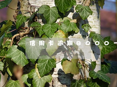 信用卡逾期8000一个月 信用卡逾期8000一个月
